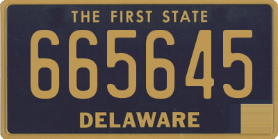 DE license plate 665645