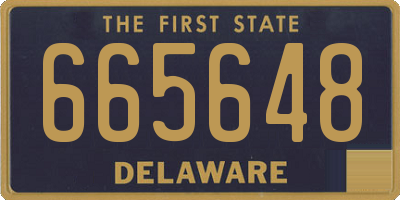DE license plate 665648