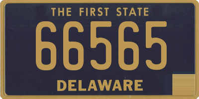 DE license plate 66565
