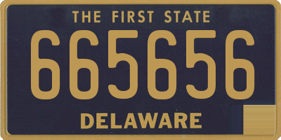 DE license plate 665656