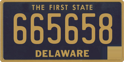 DE license plate 665658