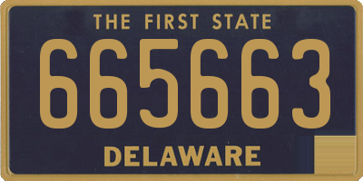 DE license plate 665663