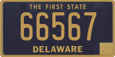 DE license plate 66567