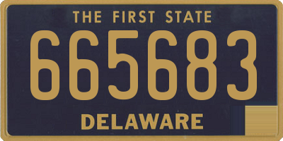 DE license plate 665683