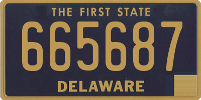 DE license plate 665687