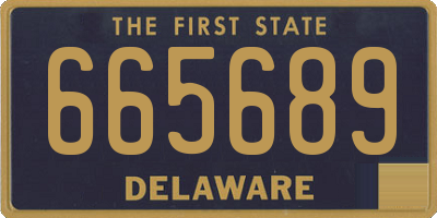 DE license plate 665689