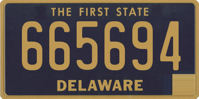 DE license plate 665694