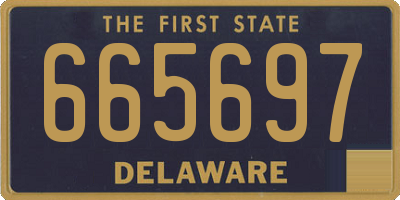 DE license plate 665697