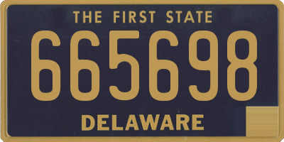 DE license plate 665698