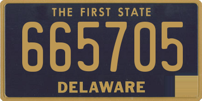 DE license plate 665705