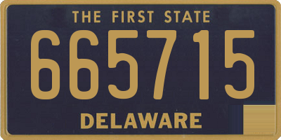 DE license plate 665715