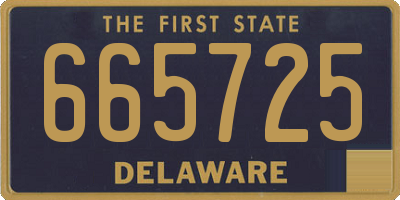 DE license plate 665725