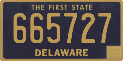 DE license plate 665727