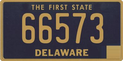 DE license plate 66573