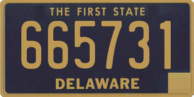 DE license plate 665731
