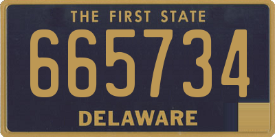 DE license plate 665734