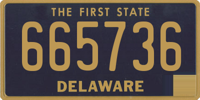 DE license plate 665736