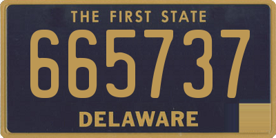 DE license plate 665737