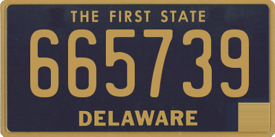 DE license plate 665739