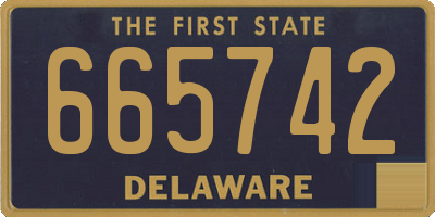 DE license plate 665742