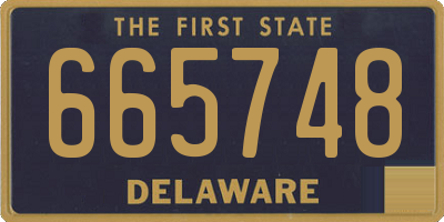 DE license plate 665748