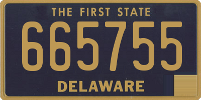DE license plate 665755
