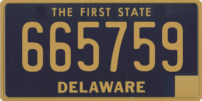 DE license plate 665759