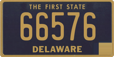 DE license plate 66576