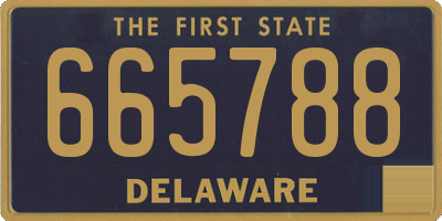 DE license plate 665788