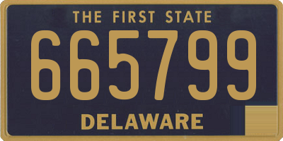 DE license plate 665799