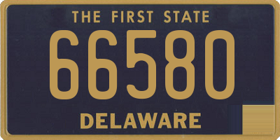 DE license plate 66580