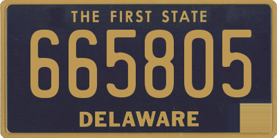 DE license plate 665805