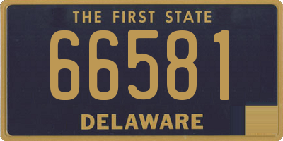 DE license plate 66581