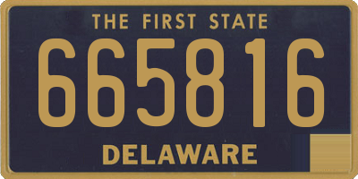 DE license plate 665816