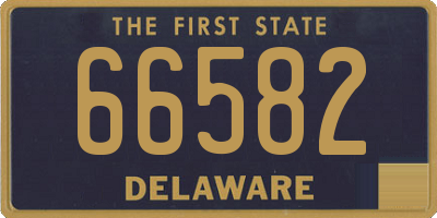 DE license plate 66582