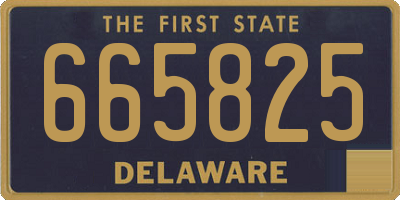 DE license plate 665825