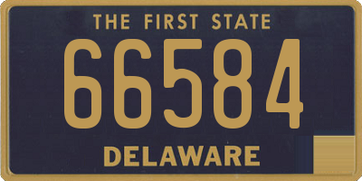 DE license plate 66584