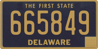 DE license plate 665849