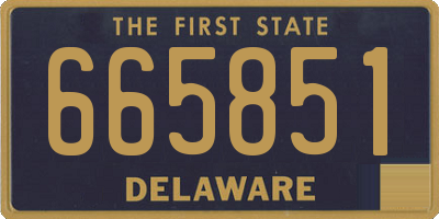 DE license plate 665851