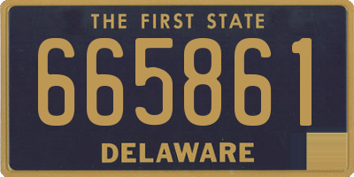 DE license plate 665861