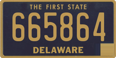 DE license plate 665864