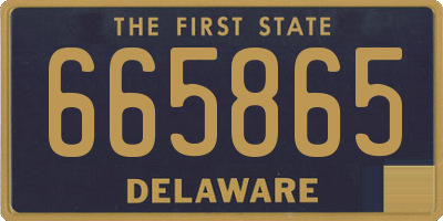 DE license plate 665865