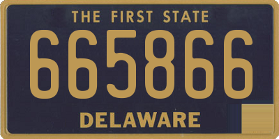 DE license plate 665866