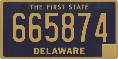DE license plate 665874
