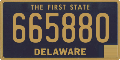 DE license plate 665880