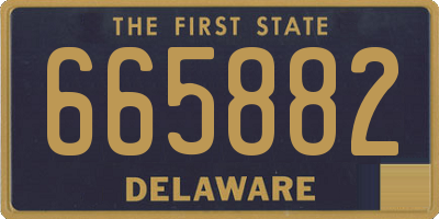 DE license plate 665882