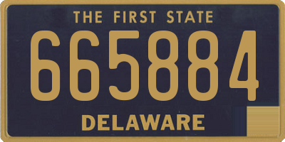 DE license plate 665884