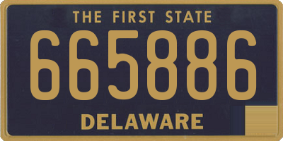 DE license plate 665886