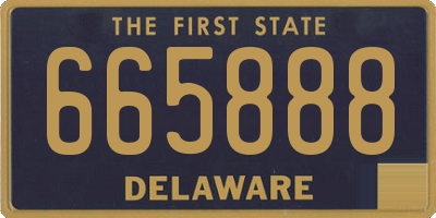 DE license plate 665888