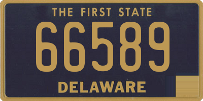 DE license plate 66589